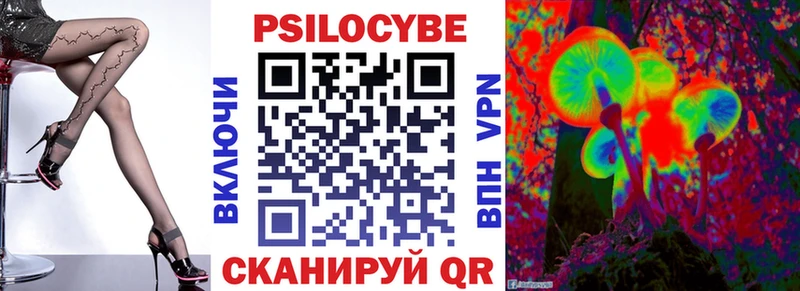 где продают Гвардейск даркнет Telegram Псилоцибиновые грибы прущие грибы